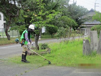 除草作業